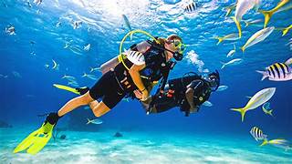Scuba Diving Tour